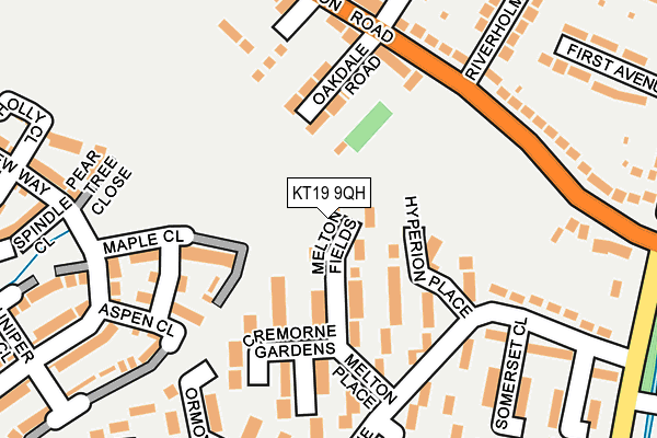 KT19 9QH map - OS OpenMap – Local (Ordnance Survey) KT19 9QH map - OS OpenMap – Local (Ordnance Survey)