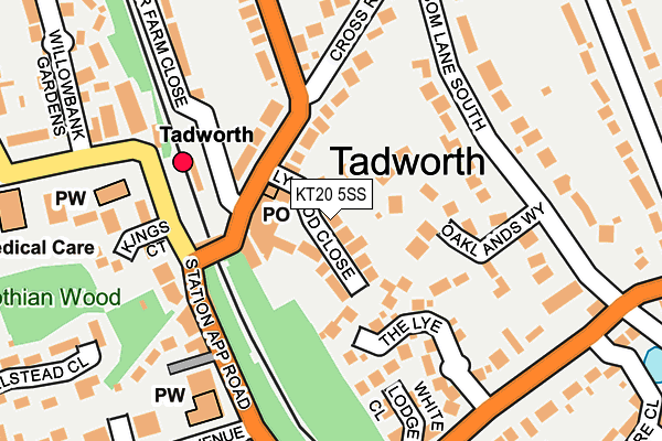 KT20 5SS map - OS OpenMap – Local (Ordnance Survey)