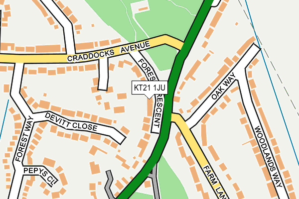 KT21 1JU map - OS OpenMap – Local (Ordnance Survey)