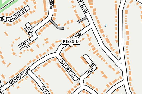 KT22 9TD map - OS OpenMap – Local (Ordnance Survey) KT22 9TD map - OS OpenMap – Local (Ordnance Survey)