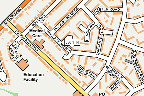 L36 1TN map - OS OpenMap – Local (Ordnance Survey)