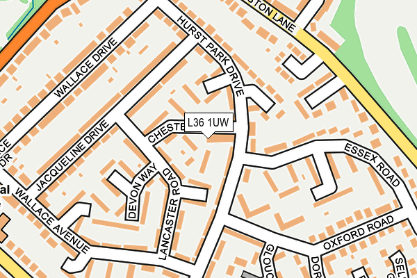 L36 1UW map - OS OpenMap – Local (Ordnance Survey) L36 1UW map - OS OpenMap – Local (Ordnance Survey)