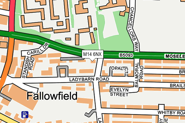 M14 6NX map - OS OpenMap – Local (Ordnance Survey) M14 6NX map - OS OpenMap – Local (Ordnance Survey)
