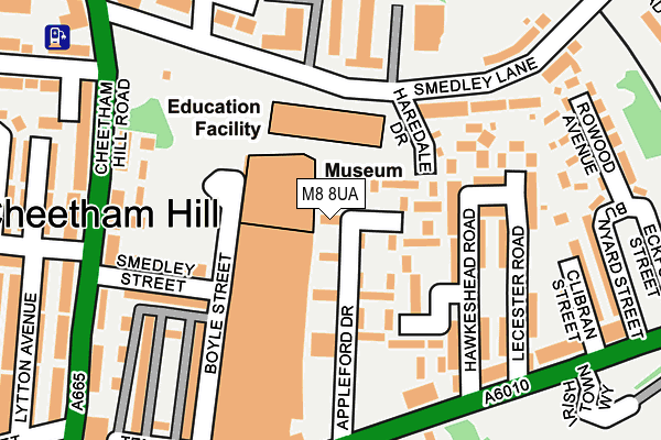 M8 8UA map - OS OpenMap – Local (Ordnance Survey) M8 8UA map - OS OpenMap – Local (Ordnance Survey)
