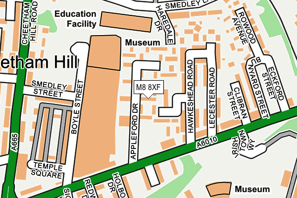 M8 8XF map - OS OpenMap – Local (Ordnance Survey) M8 8XF map - OS OpenMap – Local (Ordnance Survey)