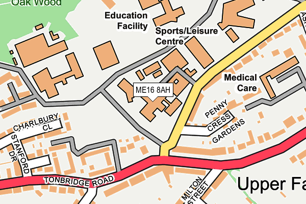 ME16 8AH map - OS OpenMap – Local (Ordnance Survey)
