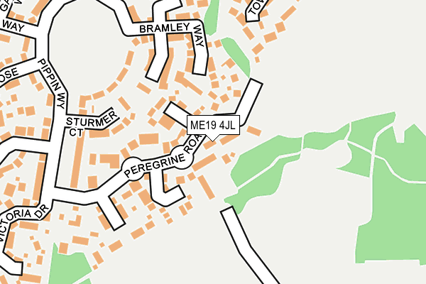 ME19 4JL map - OS OpenMap – Local (Ordnance Survey) ME19 4JL map - OS OpenMap – Local (Ordnance Survey)