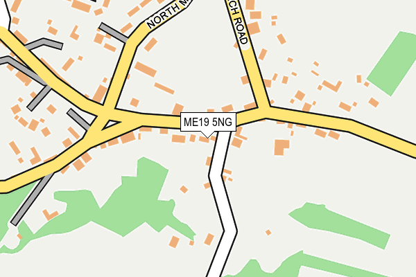 ME19 5NG map - OS OpenMap – Local (Ordnance Survey) ME19 5NG map - OS OpenMap – Local (Ordnance Survey)
