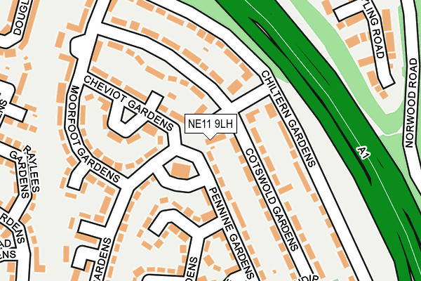 NE11 9LH map - OS OpenMap – Local (Ordnance Survey) NE11 9LH map - OS OpenMap – Local (Ordnance Survey)