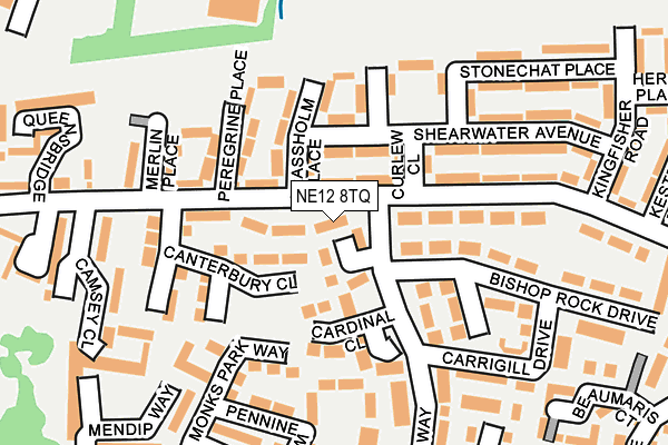 NE12 8TQ map - OS OpenMap – Local (Ordnance Survey) NE12 8TQ map - OS OpenMap – Local (Ordnance Survey)