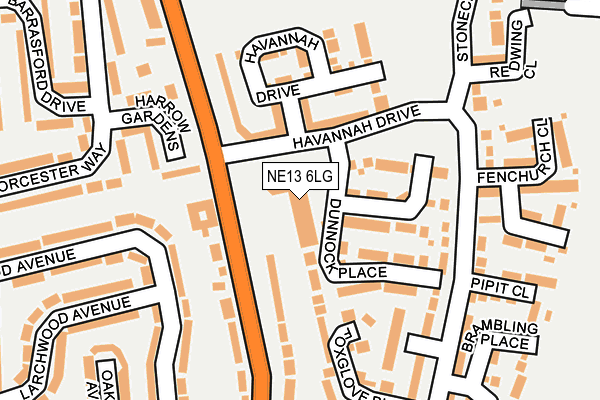 NE13 6LG map - OS OpenMap – Local (Ordnance Survey) NE13 6LG map - OS OpenMap – Local (Ordnance Survey)