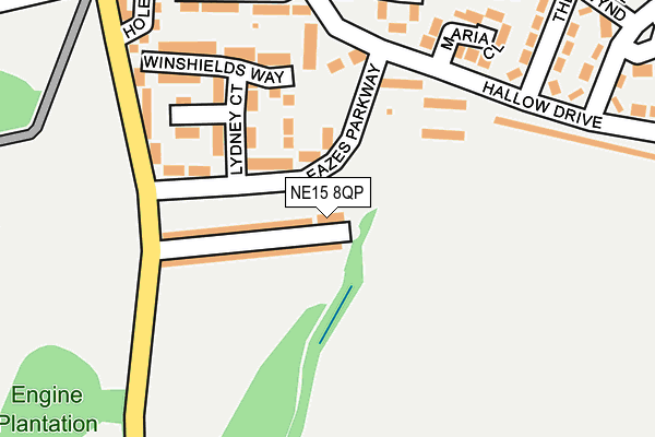 NE15 8QP map - OS OpenMap – Local (Ordnance Survey) NE15 8QP map - OS OpenMap – Local (Ordnance Survey)