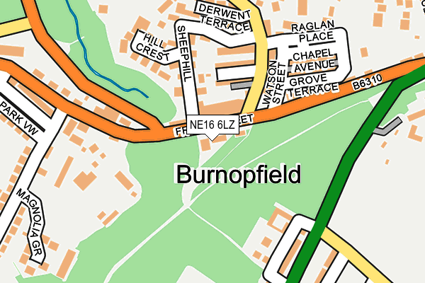 NE16 6LZ map - OS OpenMap – Local (Ordnance Survey)