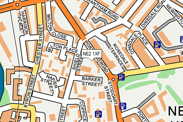 NE2 1XF map - OS OpenMap – Local (Ordnance Survey) NE2 1XF map - OS OpenMap – Local (Ordnance Survey)