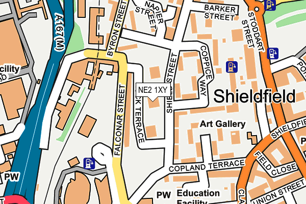 NE2 1XY map - OS OpenMap – Local (Ordnance Survey) NE2 1XY map - OS OpenMap – Local (Ordnance Survey)