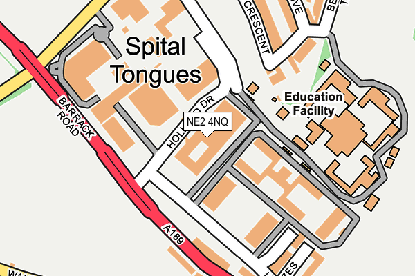 NE2 4NQ map - OS OpenMap – Local (Ordnance Survey) NE2 4NQ map - OS OpenMap – Local (Ordnance Survey)