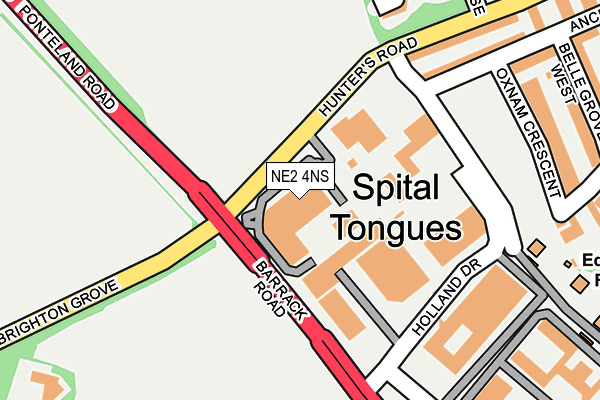 NE2 4NS map - OS OpenMap – Local (Ordnance Survey) NE2 4NS map - OS OpenMap – Local (Ordnance Survey)