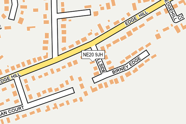 NE20 9JH map - OS OpenMap – Local (Ordnance Survey) NE20 9JH map - OS OpenMap – Local (Ordnance Survey)