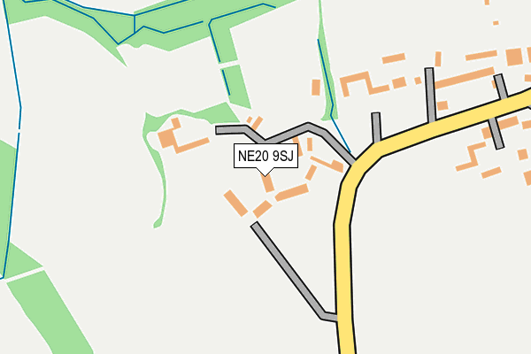 NE20 9SJ map - OS OpenMap – Local (Ordnance Survey) NE20 9SJ map - OS OpenMap – Local (Ordnance Survey)