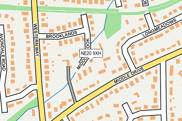 NE20 9XH map - OS OpenMap – Local (Ordnance Survey) NE20 9XH map - OS OpenMap – Local (Ordnance Survey)