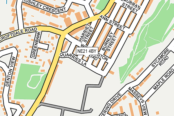 NE21 4BY map - OS OpenMap – Local (Ordnance Survey) NE21 4BY map - OS OpenMap – Local (Ordnance Survey)