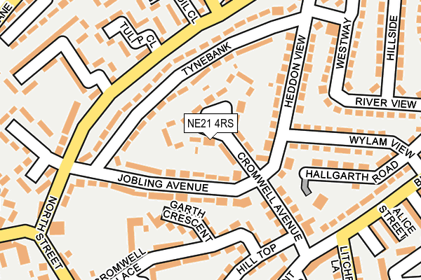 NE21 4RS map - OS OpenMap – Local (Ordnance Survey) NE21 4RS map - OS OpenMap – Local (Ordnance Survey)