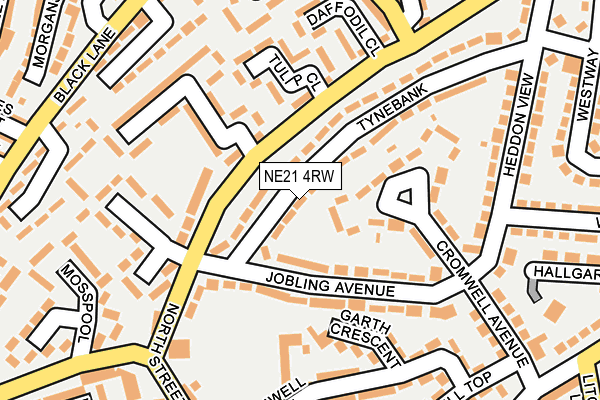 NE21 4RW map - OS OpenMap – Local (Ordnance Survey) NE21 4RW map - OS OpenMap – Local (Ordnance Survey)