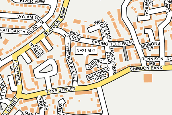NE21 5LG map - OS OpenMap – Local (Ordnance Survey) NE21 5LG map - OS OpenMap – Local (Ordnance Survey)