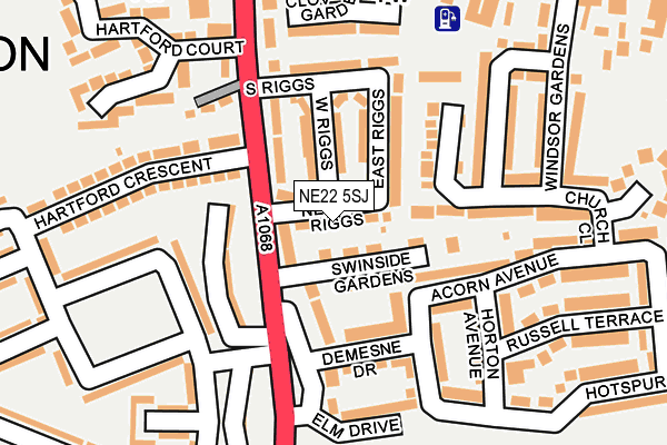 NE22 5SJ map - OS OpenMap – Local (Ordnance Survey) NE22 5SJ map - OS OpenMap – Local (Ordnance Survey)