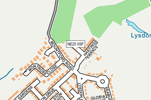 NE25 0SF map - OS OpenMap – Local (Ordnance Survey) NE25 0SF map - OS OpenMap – Local (Ordnance Survey)