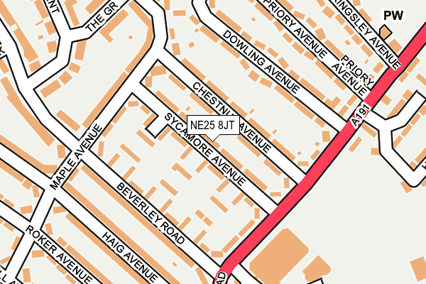 NE25 8JT map - OS OpenMap – Local (Ordnance Survey) NE25 8JT map - OS OpenMap – Local (Ordnance Survey)