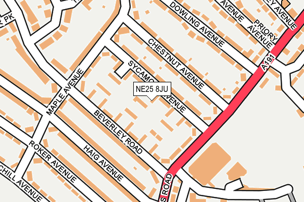 NE25 8JU map - OS OpenMap – Local (Ordnance Survey) NE25 8JU map - OS OpenMap – Local (Ordnance Survey)