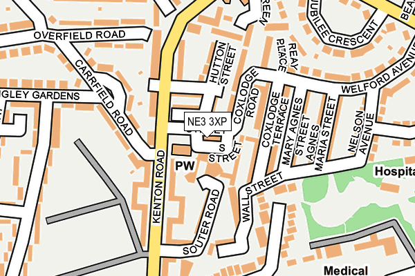 NE3 3XP map - OS OpenMap – Local (Ordnance Survey) NE3 3XP map - OS OpenMap – Local (Ordnance Survey)