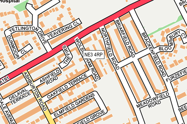 NE3 4RP map - OS OpenMap – Local (Ordnance Survey) NE3 4RP map - OS OpenMap – Local (Ordnance Survey)