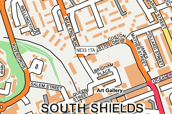 NE33 1TA map - OS OpenMap – Local (Ordnance Survey) NE33 1TA map - OS OpenMap – Local (Ordnance Survey)