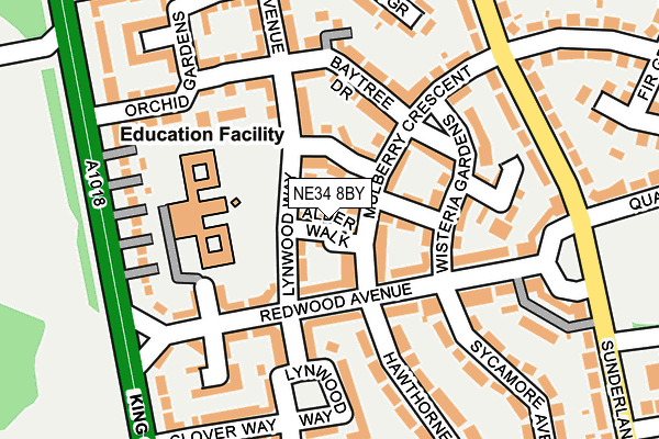NE34 8BY map - OS OpenMap – Local (Ordnance Survey) NE34 8BY map - OS OpenMap – Local (Ordnance Survey)