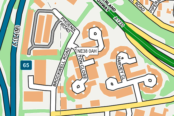 NE38 0AH map - OS OpenMap – Local (Ordnance Survey) NE38 0AH map - OS OpenMap – Local (Ordnance Survey)