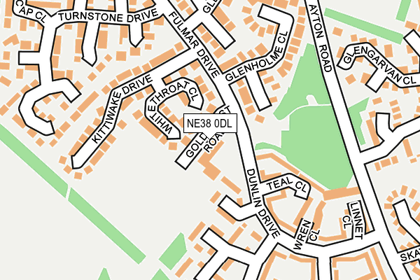 NE38 0DL map - OS OpenMap – Local (Ordnance Survey) NE38 0DL map - OS OpenMap – Local (Ordnance Survey)