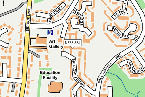 NE38 8SJ map - OS OpenMap – Local (Ordnance Survey) NE38 8SJ map - OS OpenMap – Local (Ordnance Survey)