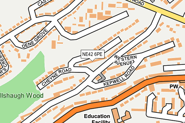 NE42 6PE map - OS OpenMap – Local (Ordnance Survey) NE42 6PE map - OS OpenMap – Local (Ordnance Survey)