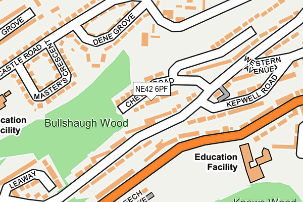 NE42 6PF map - OS OpenMap – Local (Ordnance Survey)