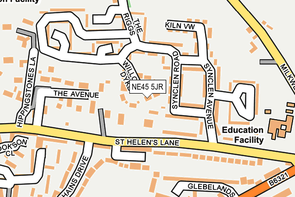 NE45 5JR map - OS OpenMap – Local (Ordnance Survey) NE45 5JR map - OS OpenMap – Local (Ordnance Survey)