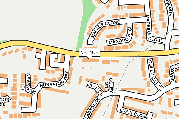 NE5 1QH map - OS OpenMap – Local (Ordnance Survey) NE5 1QH map - OS OpenMap – Local (Ordnance Survey)