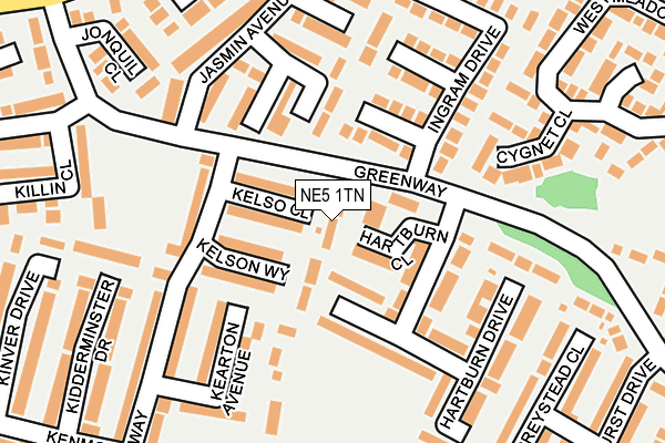 NE5 1TN map - OS OpenMap – Local (Ordnance Survey) NE5 1TN map - OS OpenMap – Local (Ordnance Survey)