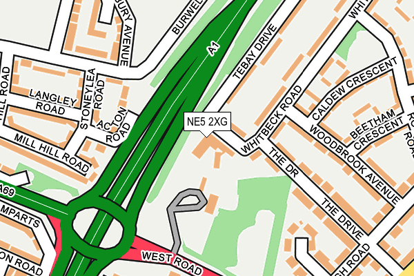 NE5 2XG map - OS OpenMap – Local (Ordnance Survey) NE5 2XG map - OS OpenMap – Local (Ordnance Survey)