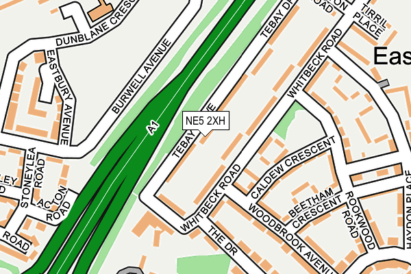 NE5 2XH map - OS OpenMap – Local (Ordnance Survey) NE5 2XH map - OS OpenMap – Local (Ordnance Survey)