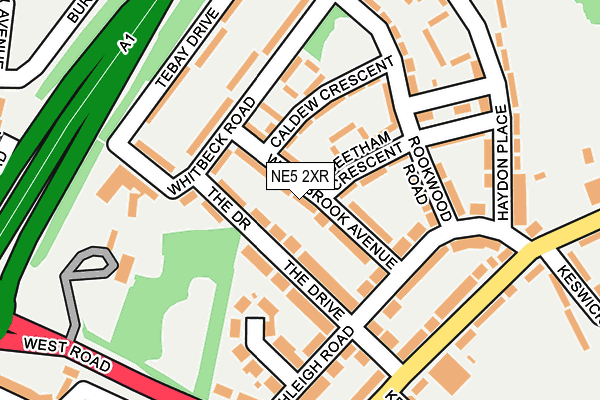 NE5 2XR map - OS OpenMap – Local (Ordnance Survey) NE5 2XR map - OS OpenMap – Local (Ordnance Survey)