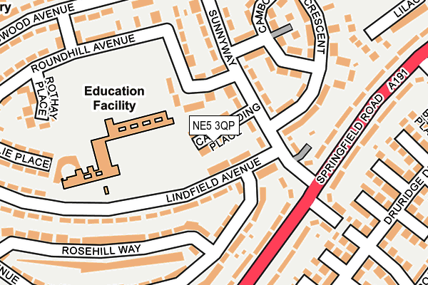 NE5 3QP map - OS OpenMap – Local (Ordnance Survey)