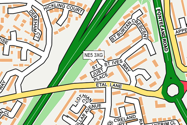 NE5 3XG map - OS OpenMap – Local (Ordnance Survey) NE5 3XG map - OS OpenMap – Local (Ordnance Survey)