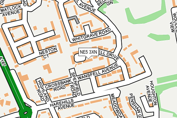 NE5 3XN map - OS OpenMap – Local (Ordnance Survey) NE5 3XN map - OS OpenMap – Local (Ordnance Survey)